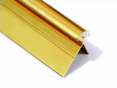 X clip in golden color